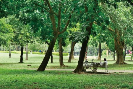 Weiwuying Park 