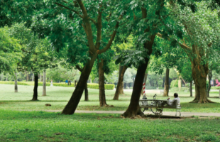 weiwuying-park